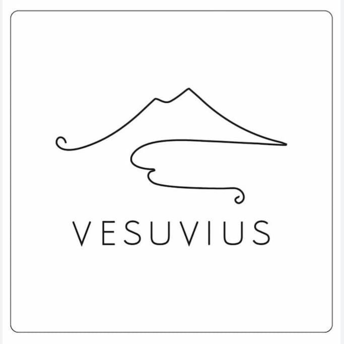 Appartement Vesuvius A Mezzocannone à Naples Extérieur photo