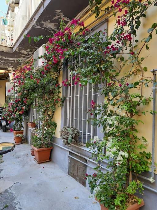 Appartement Vesuvius A Mezzocannone à Naples Extérieur photo