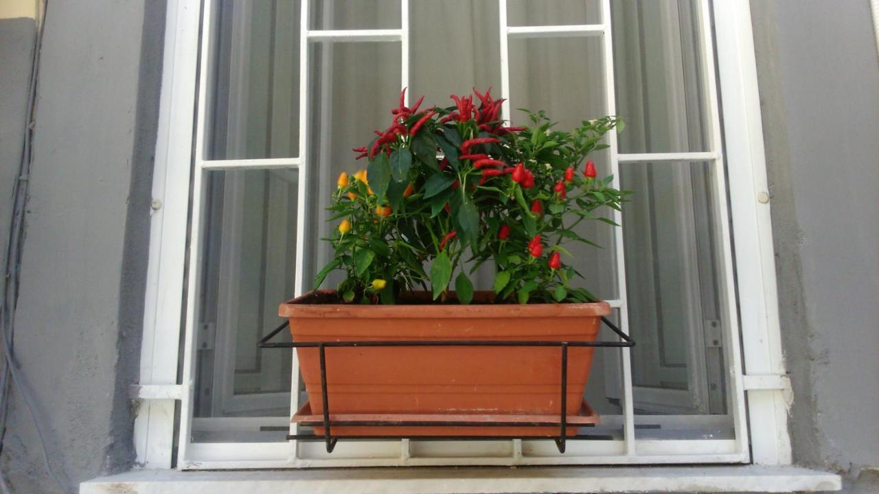 Appartement Vesuvius A Mezzocannone à Naples Extérieur photo